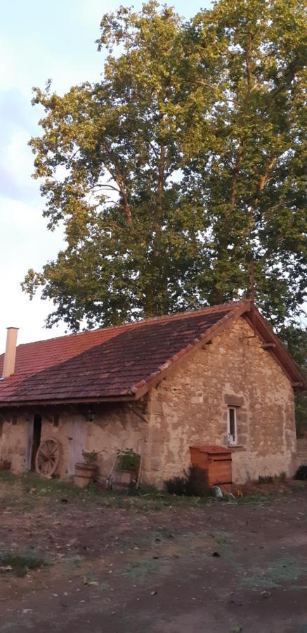 Le Gite De Gracio Вік-Фезенсак Екстер'єр фото